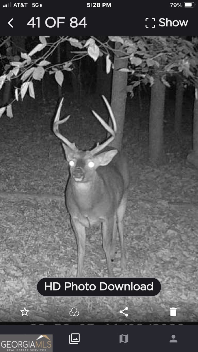 401 Herrin Road Cornelia - Photo 75