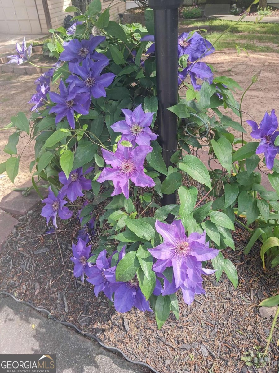 2572 Pembrooke Way Lawrenceville - Photo 30