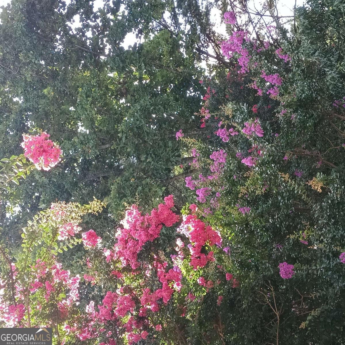 2572 Pembrooke Way Lawrenceville - Photo 32