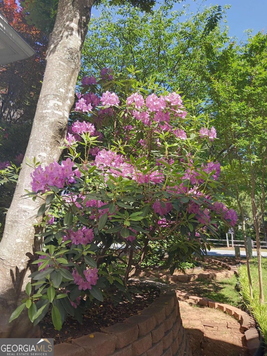 2572 Pembrooke Way Lawrenceville - Photo 36