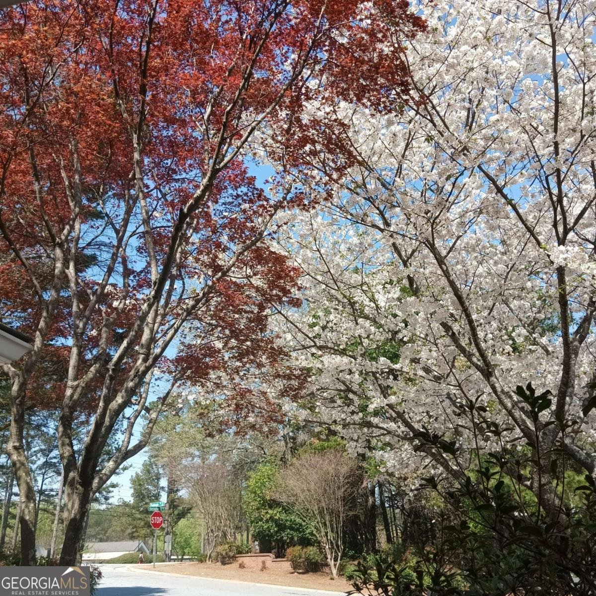 2572 Pembrooke Way Lawrenceville - Photo 6