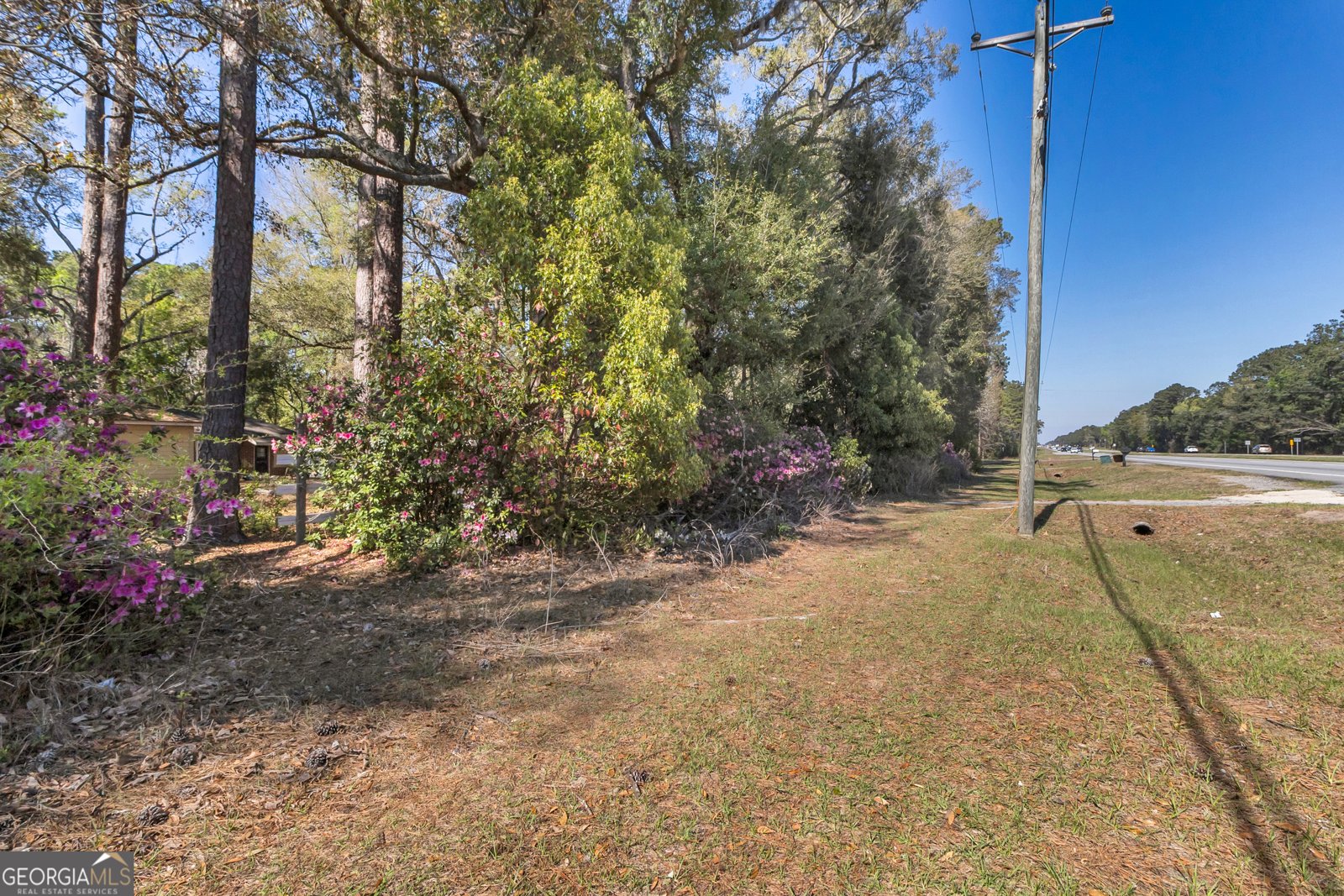 8454 GA 17 Highway Richmond Hill - Photo 10