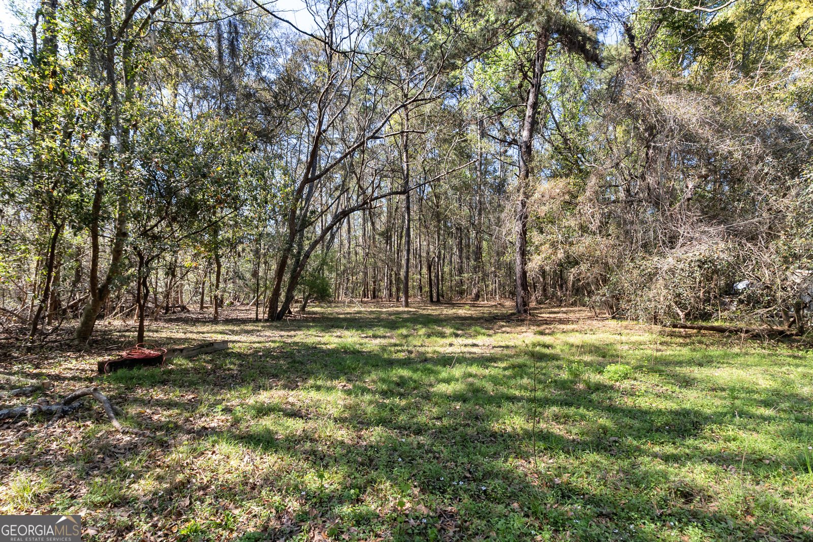 8454 GA 17 Highway Richmond Hill - Photo 8