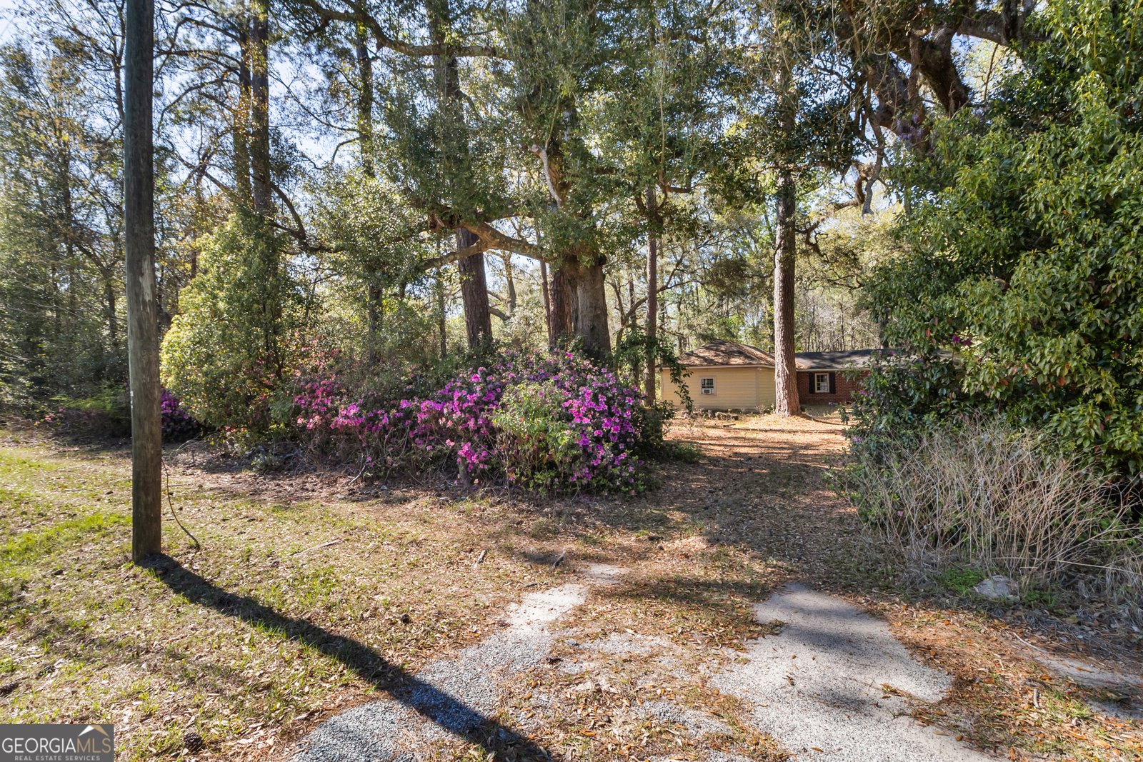 8454 GA 17 Highway Richmond Hill - Photo 9