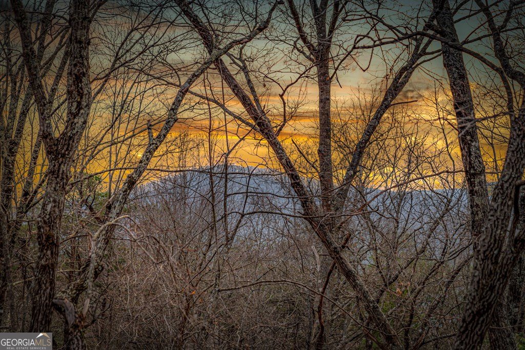 895 Price Road Blue Ridge - Photo 119