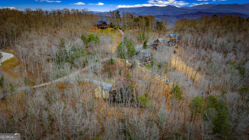 895 Price Road Blue Ridge - Photo 141
