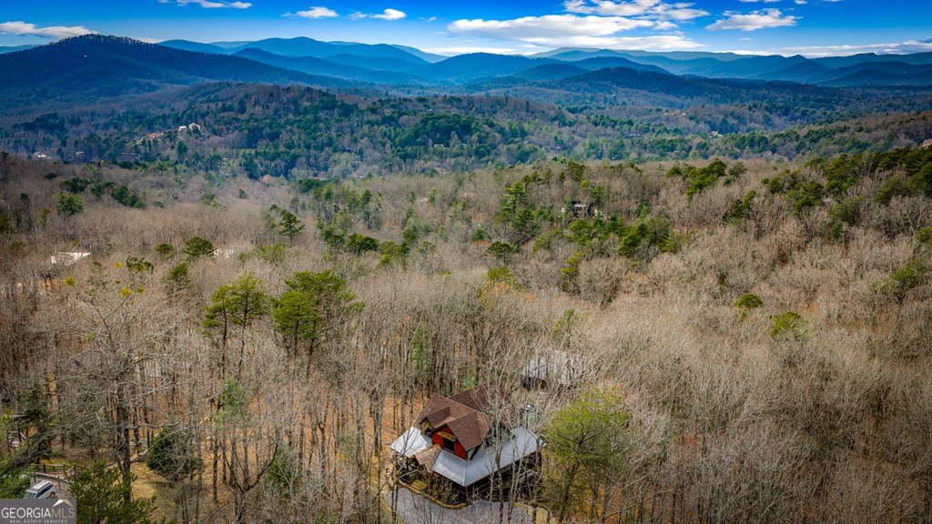 895 Price Road Blue Ridge - Photo 84
