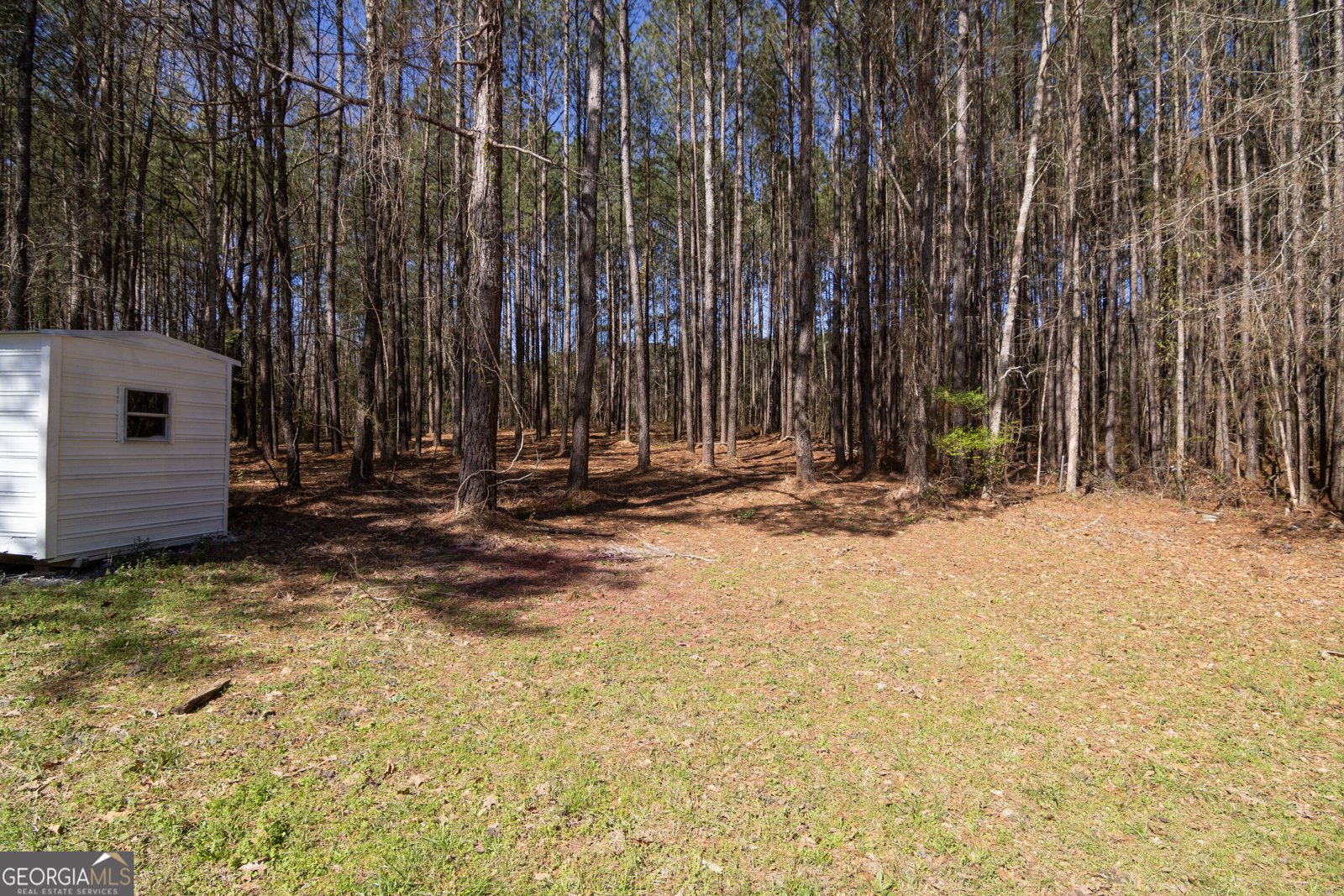 331 Deerfield Road Hogansville - Photo 53