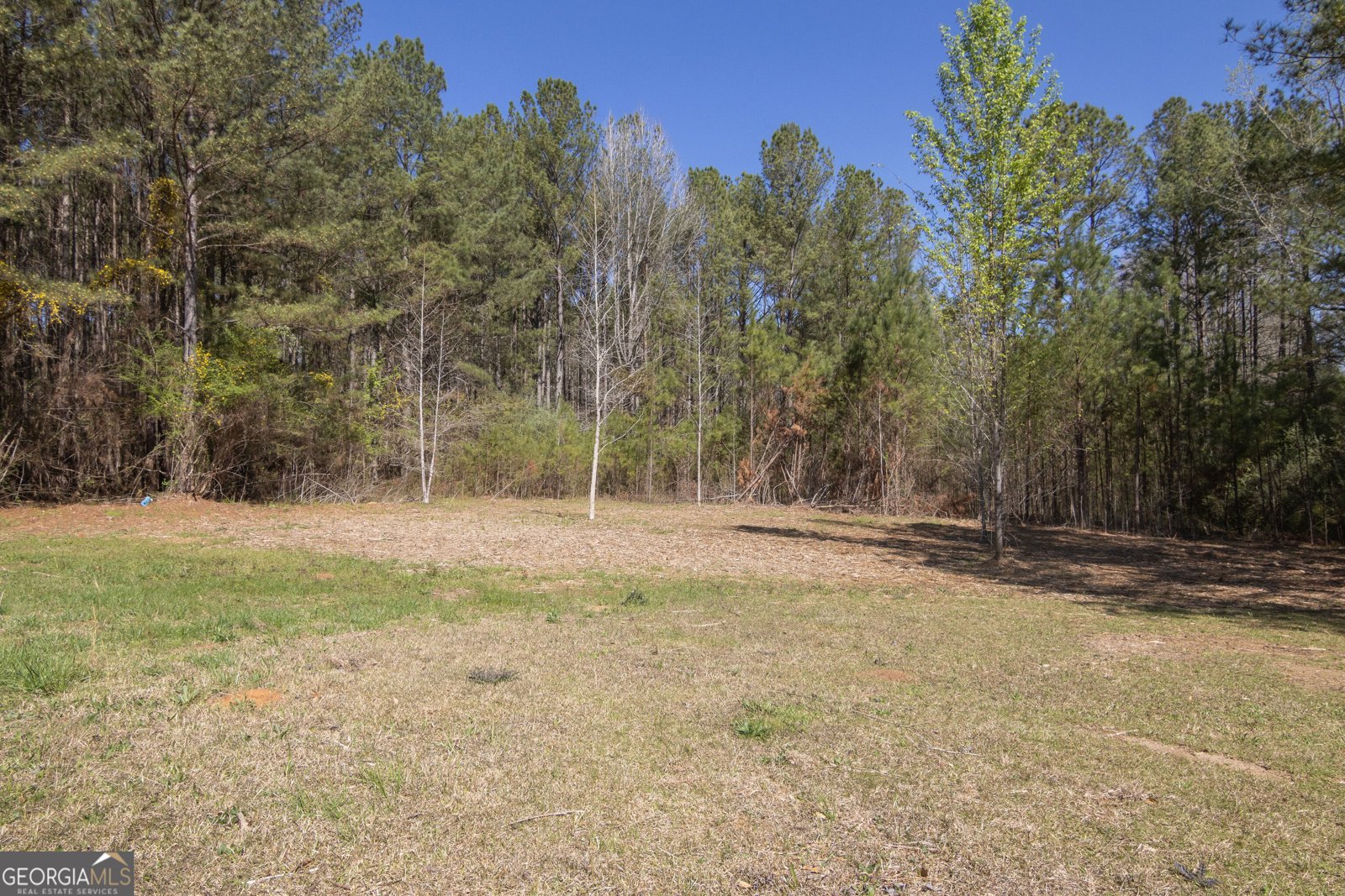 331 Deerfield Road Hogansville - Photo 56