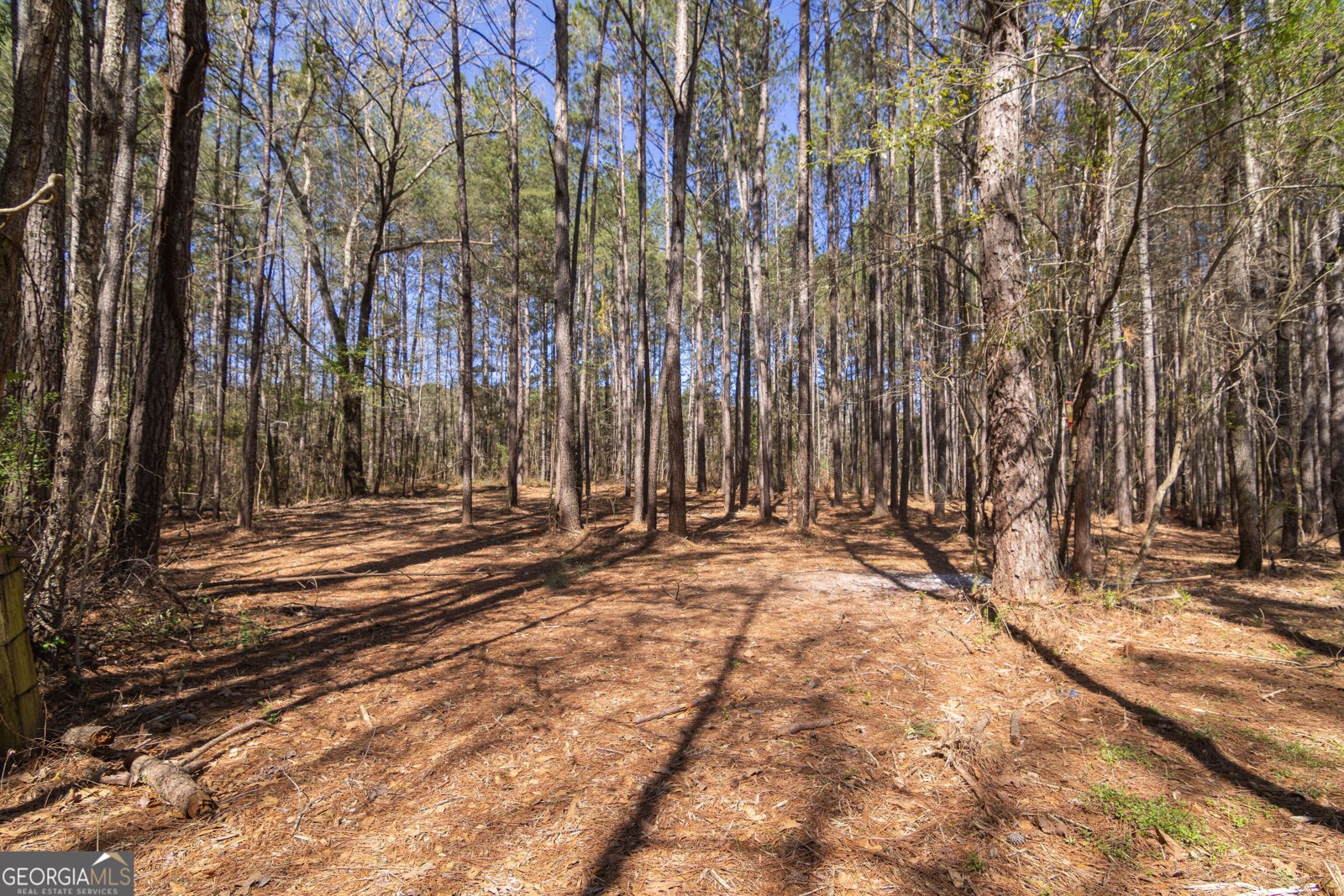 331 Deerfield Road Hogansville - Photo 61