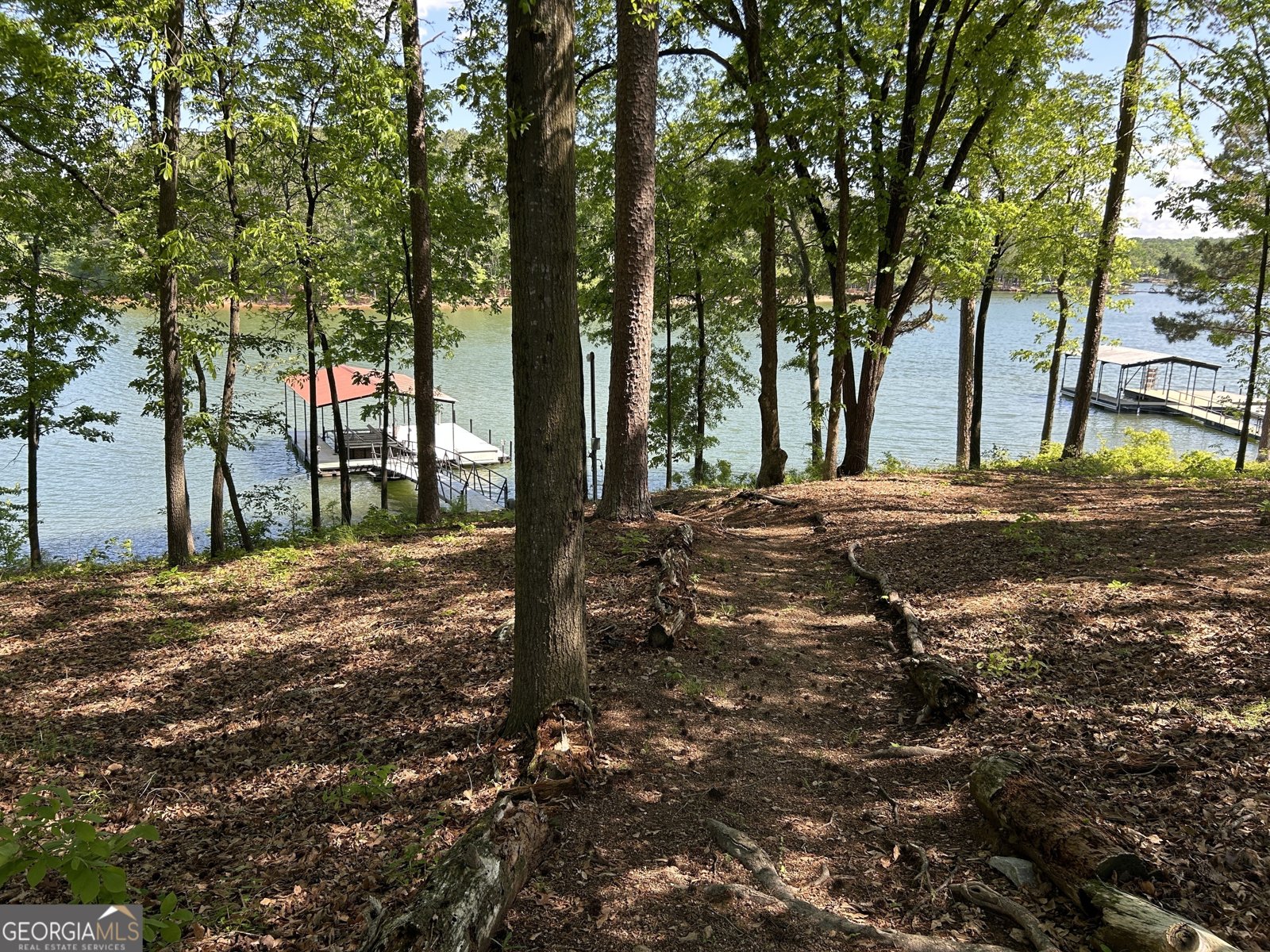 1510 Old Beacon Light Road Hartwell - Photo 16