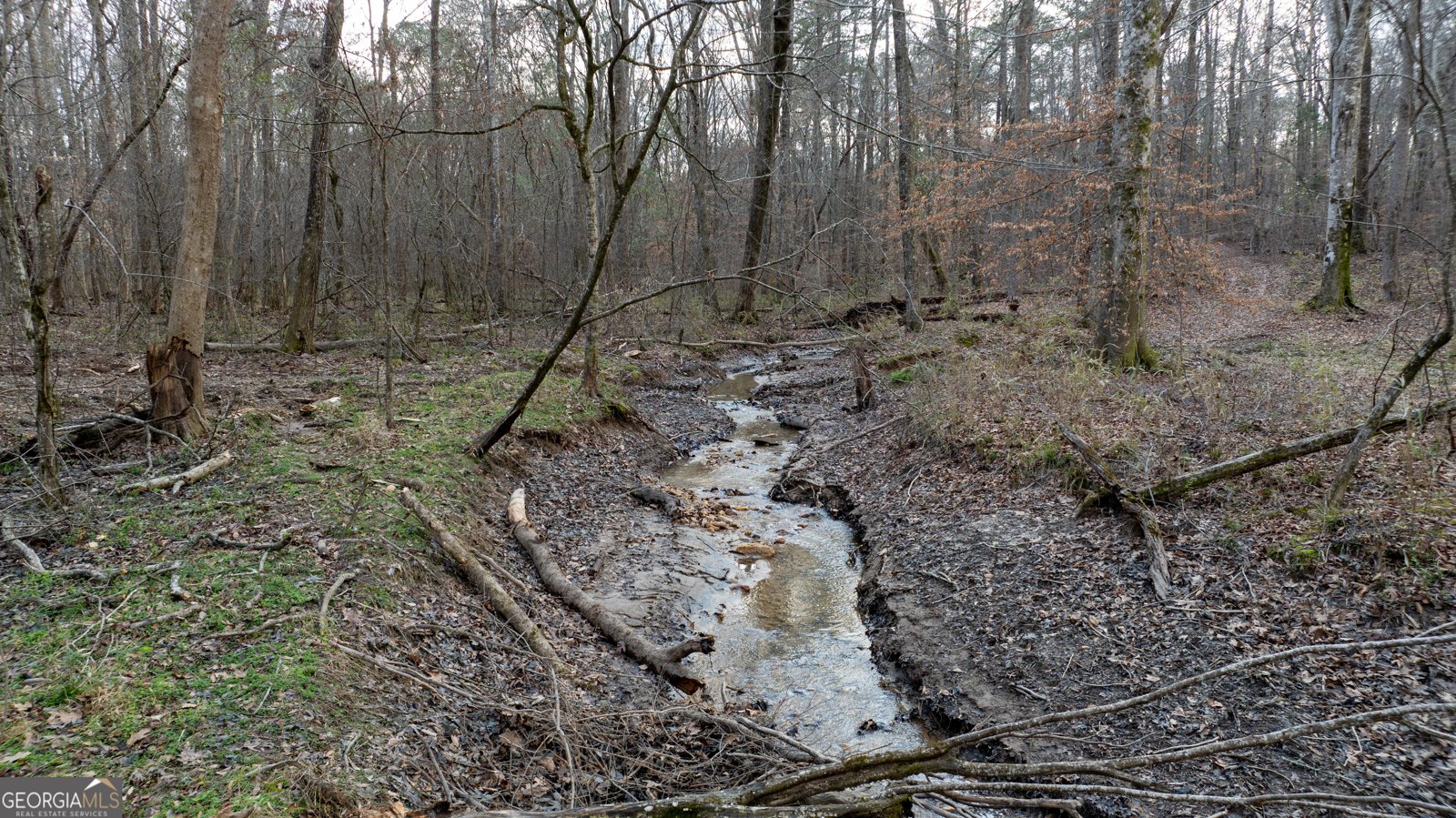 2218 Cross Plains Hulett Road Carrollton - Photo 102