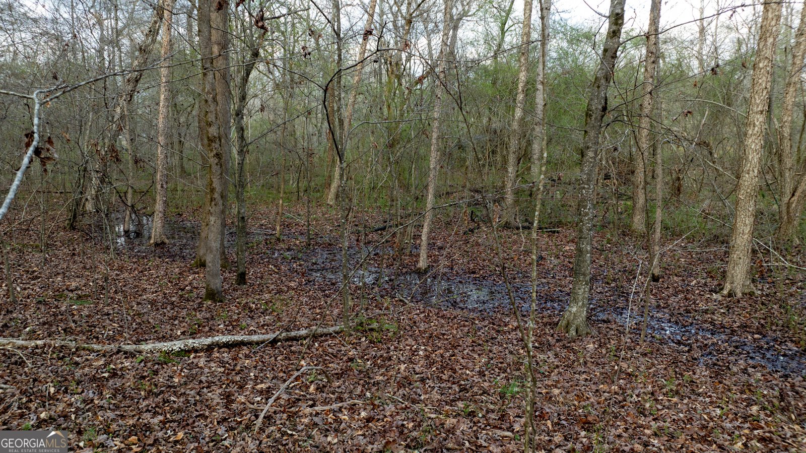 2218 Cross Plains Hulett Road Carrollton - Photo 103