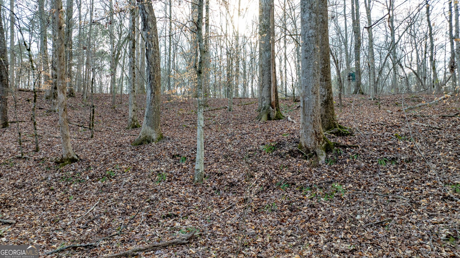 2218 Cross Plains Hulett Road Carrollton - Photo 104