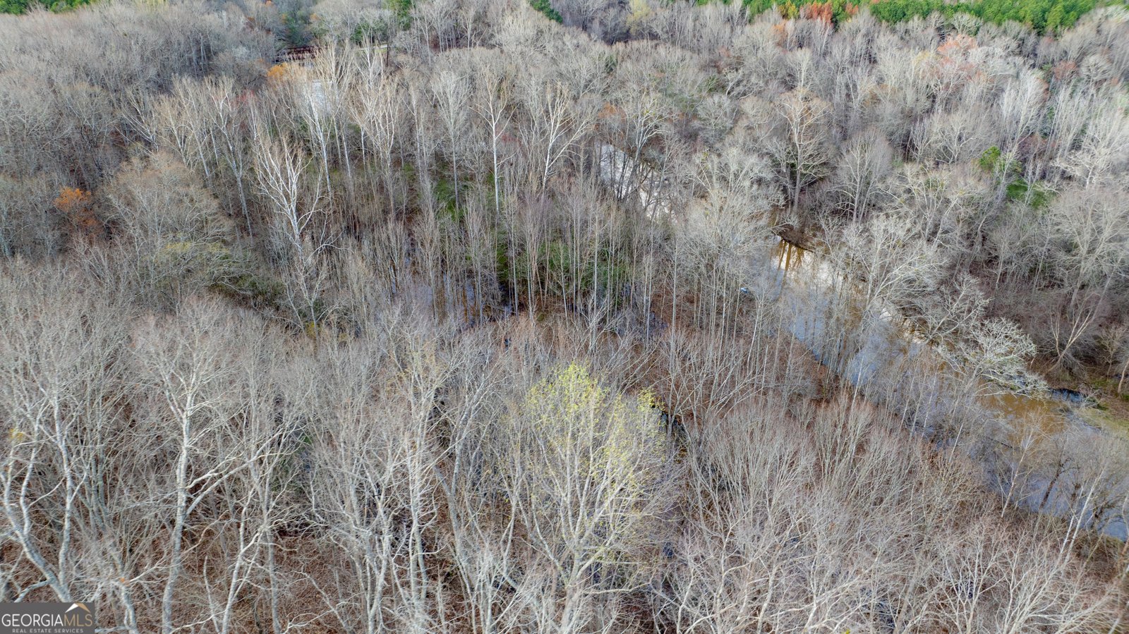 2218 Cross Plains Hulett Road Carrollton - Photo 110