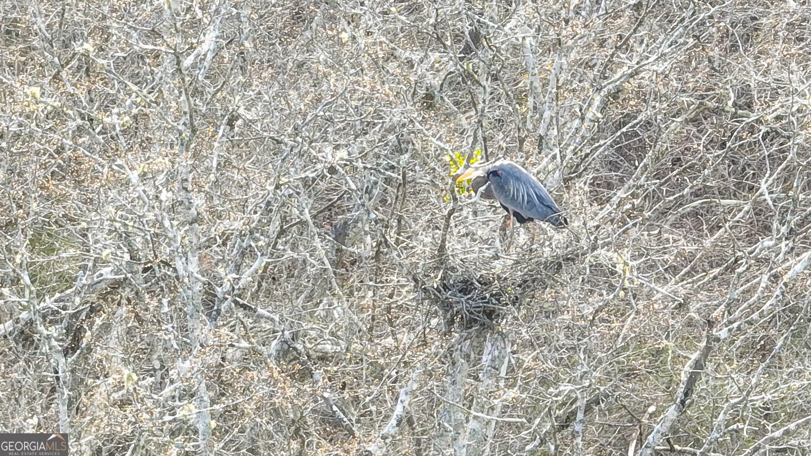 2218 Cross Plains Hulett Road Carrollton - Photo 114