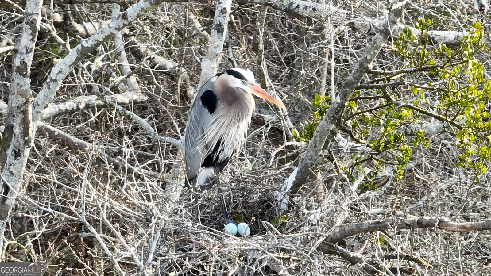 2218 Cross Plains Hulett Road Carrollton - Photo 116