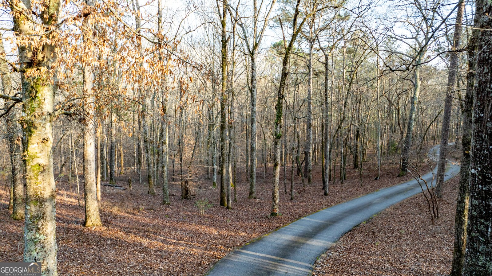 2218 Cross Plains Hulett Road Carrollton - Photo 135