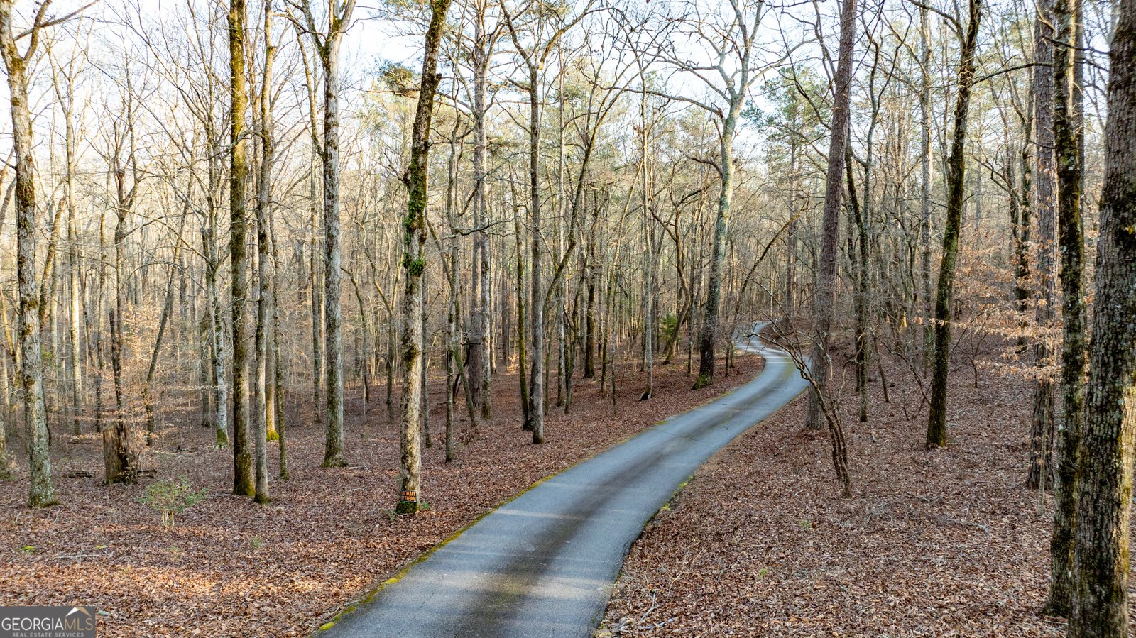 2218 Cross Plains Hulett Road Carrollton - Photo 136