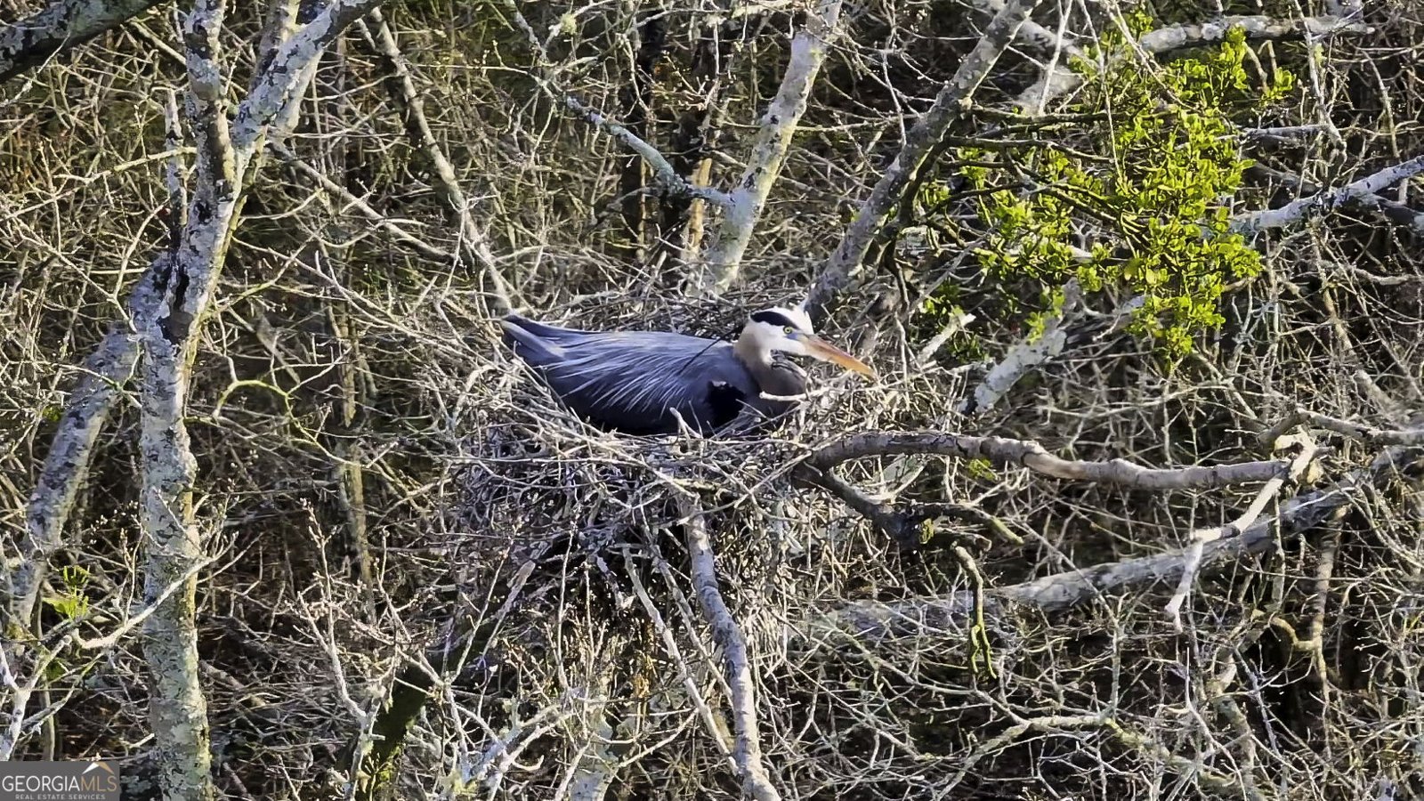 2218 Cross Plains Hulett Road Carrollton - Photo 81