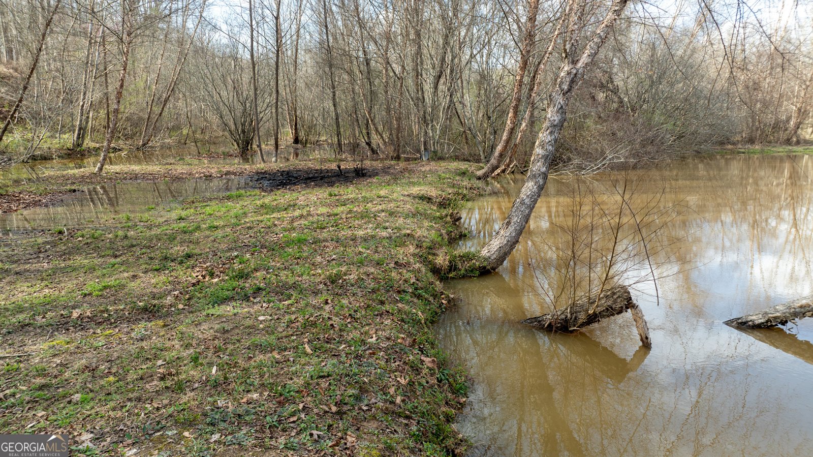 2218 Cross Plains Hulett Road Carrollton - Photo 86