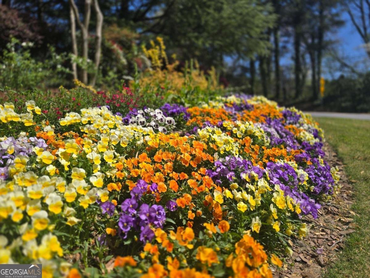 1750 Clairmont Road Decatur - Photo 44