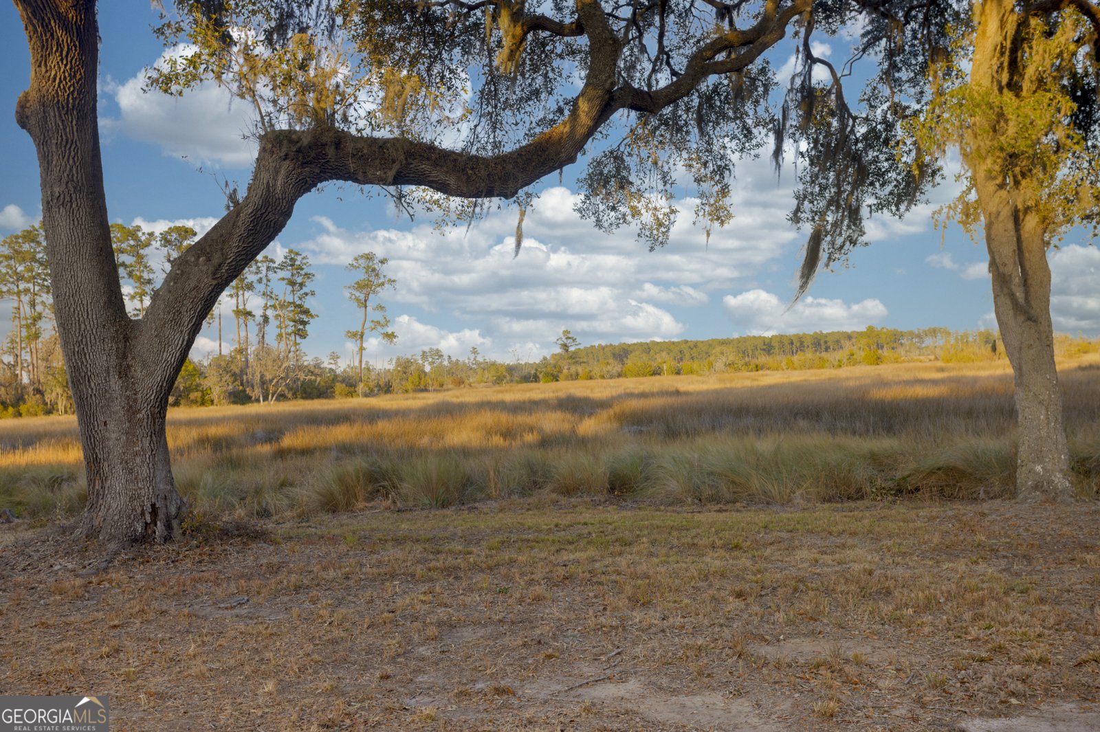 4577 Coastal Highway Fleming - Photo 26
