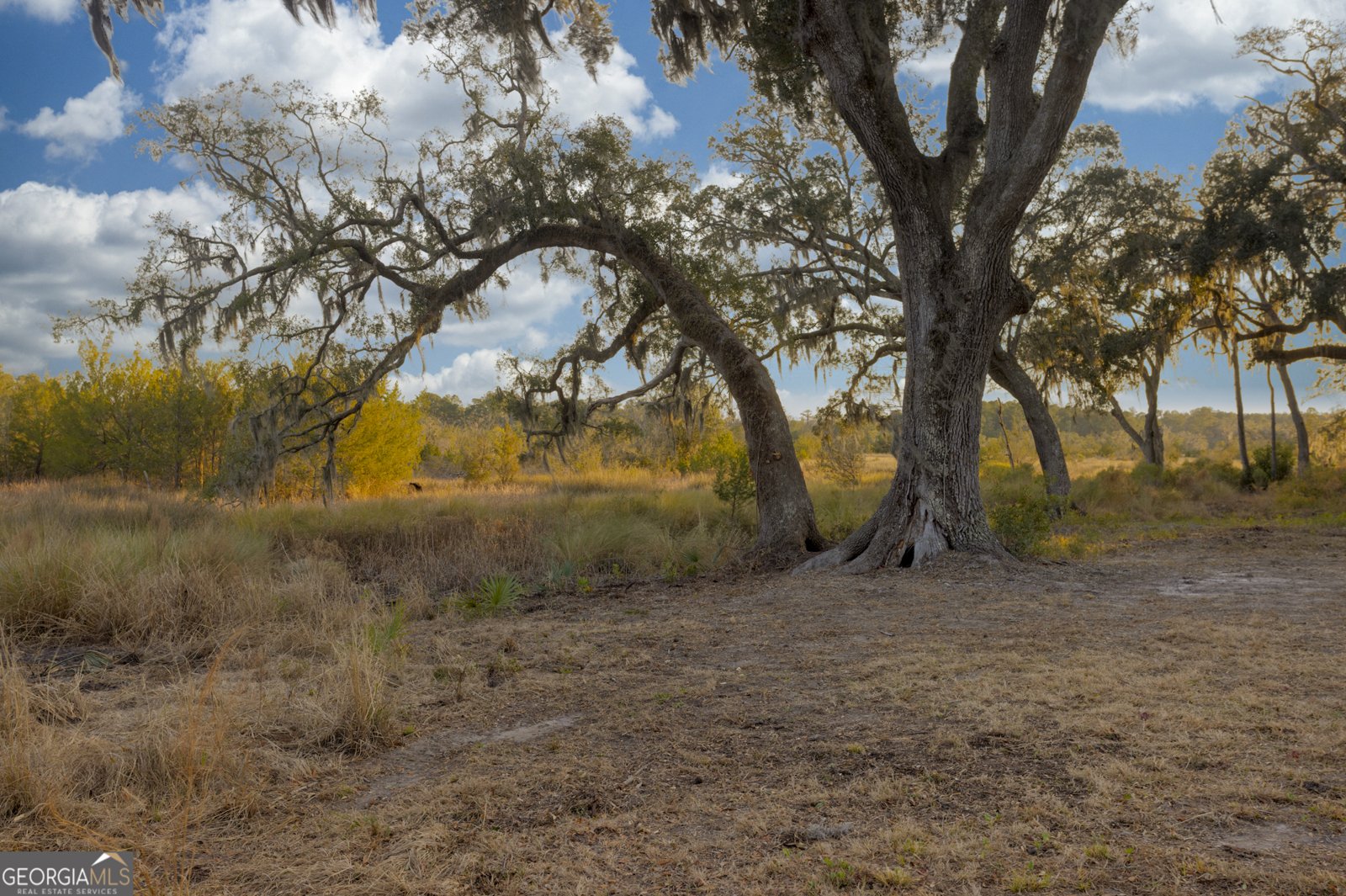 4577 Coastal Highway Fleming - Photo 27