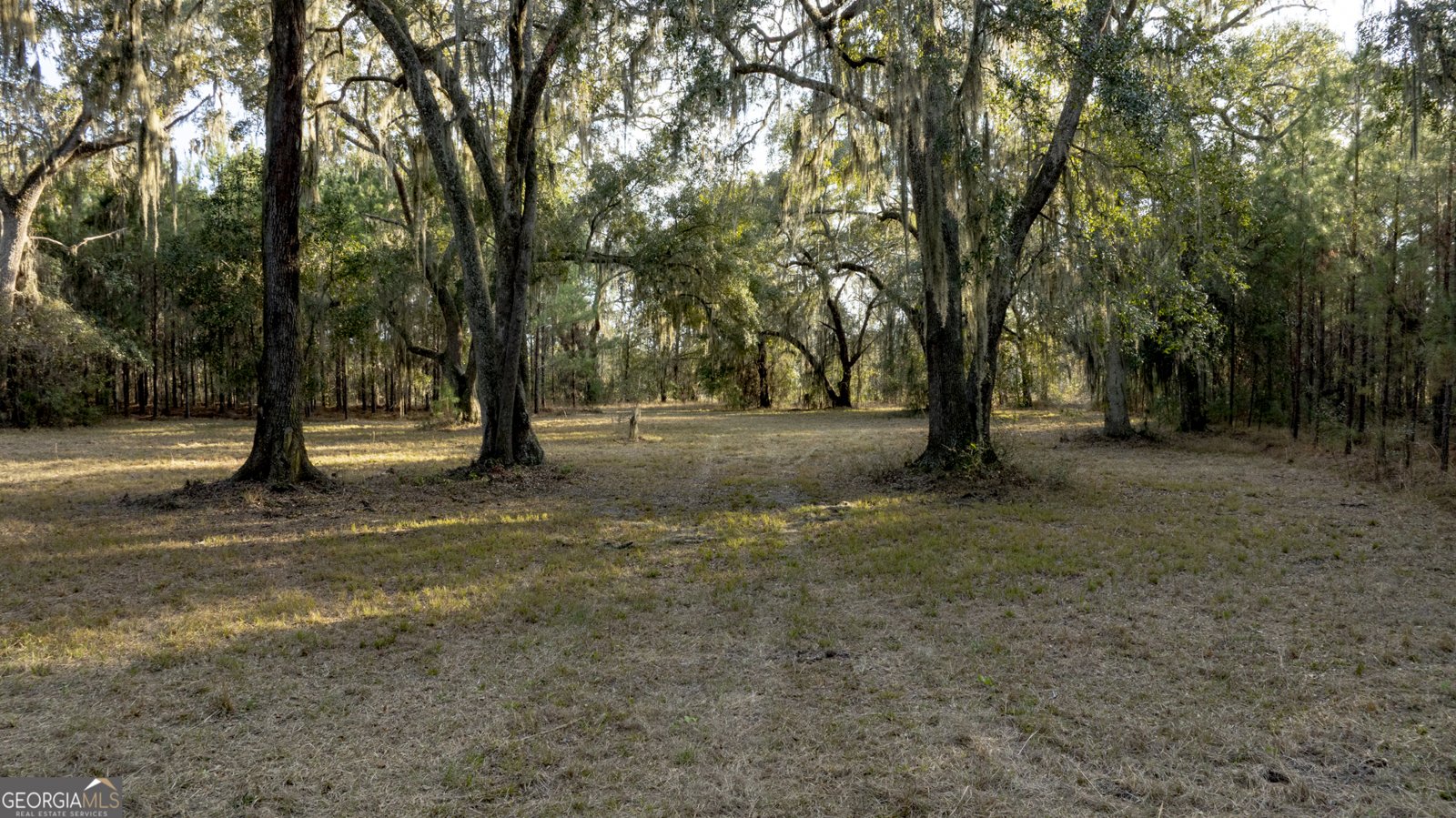 4577 Coastal Highway Fleming - Photo 85