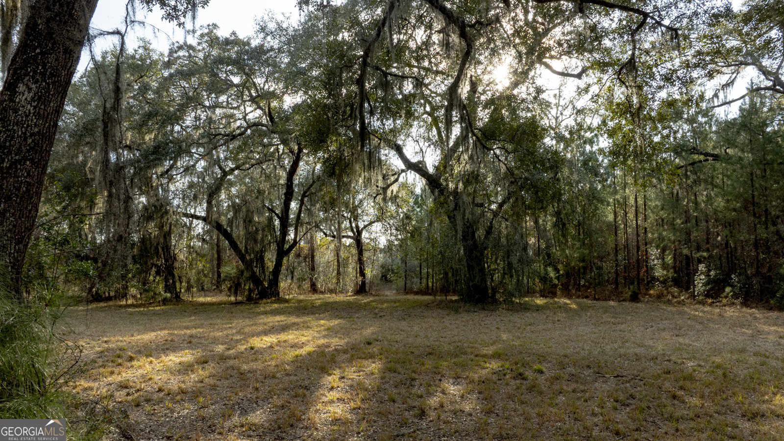 4577 Coastal Highway Fleming - Photo 86