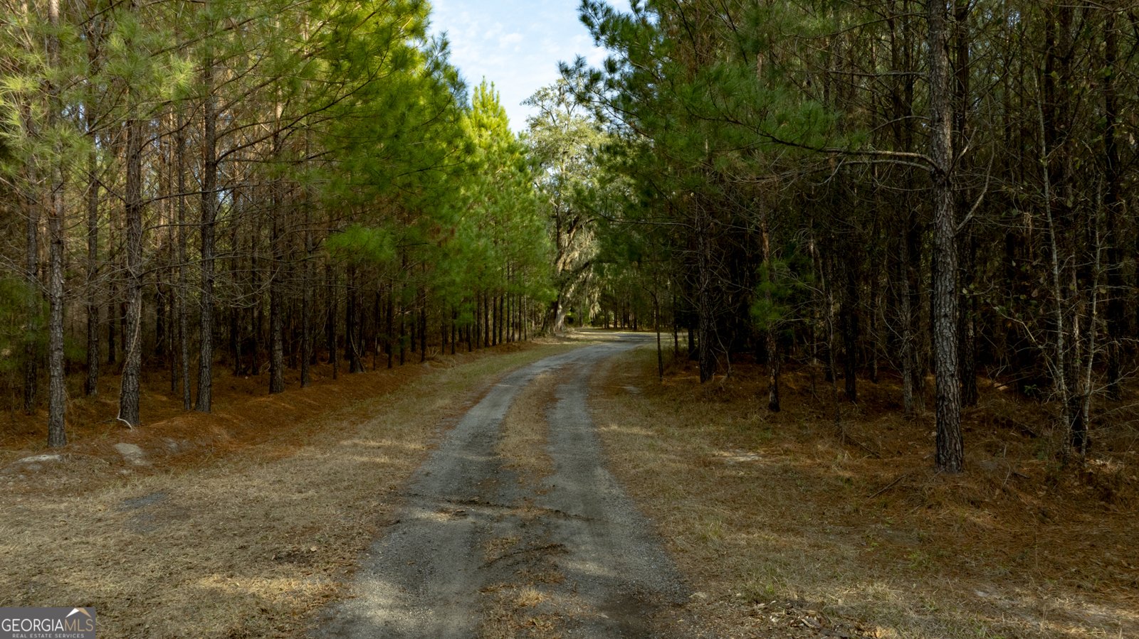 4577 Coastal Highway Fleming - Photo 88