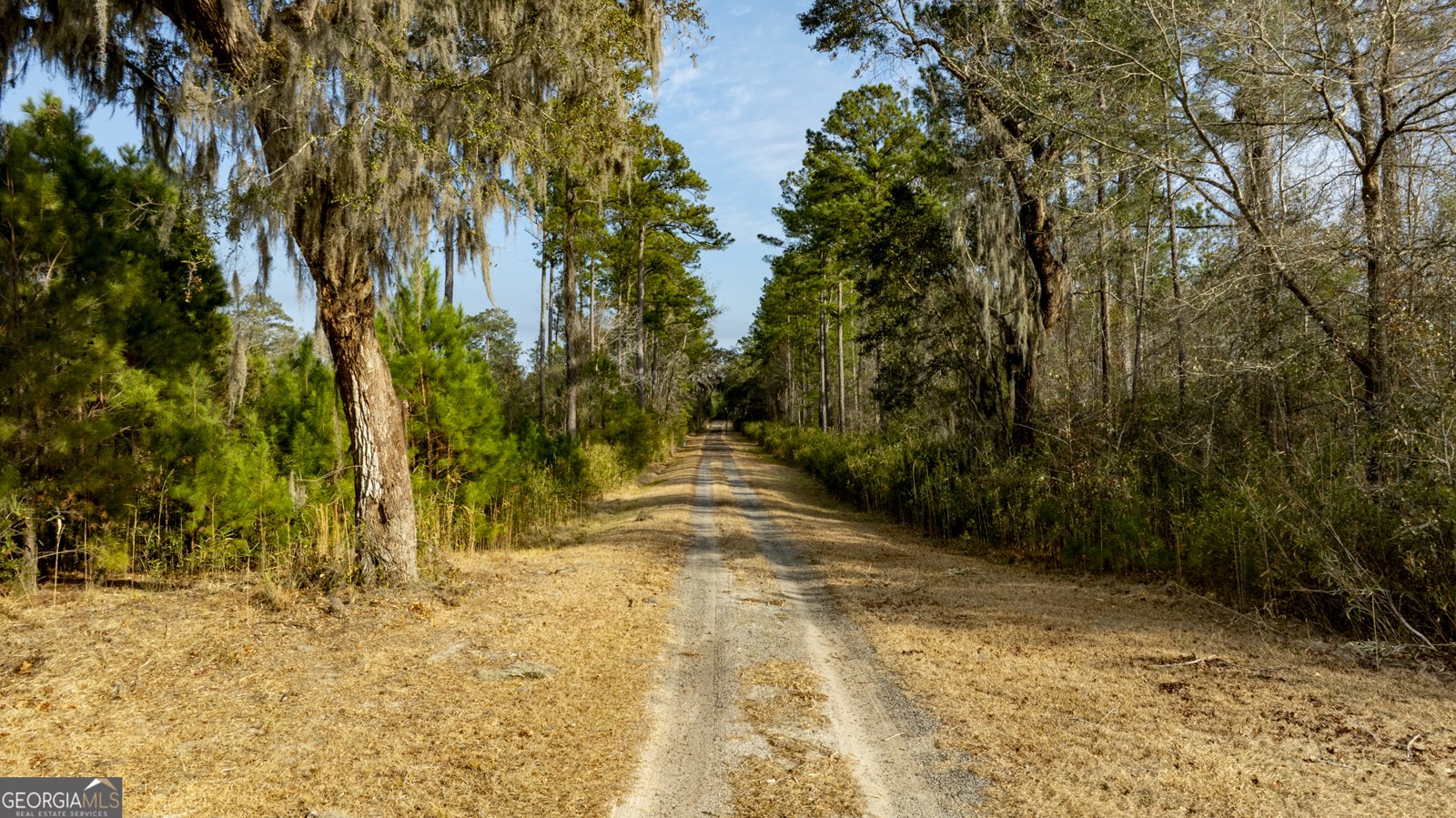 4577 Coastal Highway Fleming - Photo 91