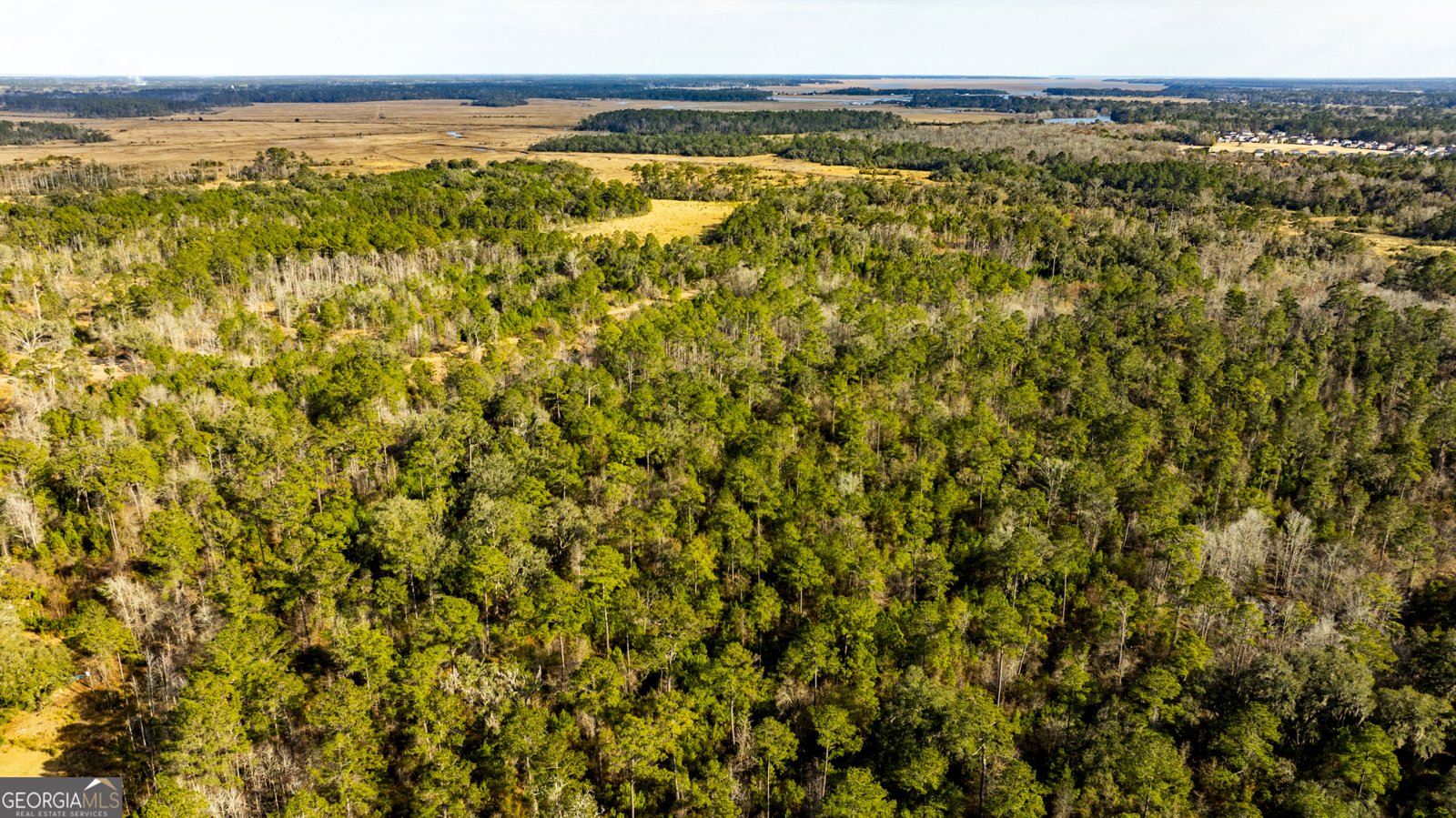 4577 Coastal Highway Fleming - Photo 96