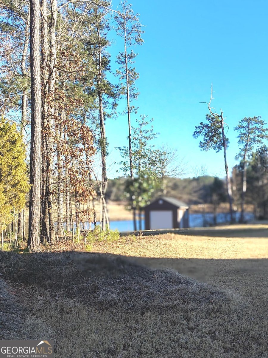 615 Birkdale Drive Fairburn - Photo 35