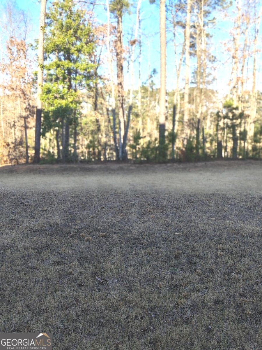 615 Birkdale Drive Fairburn - Photo 7