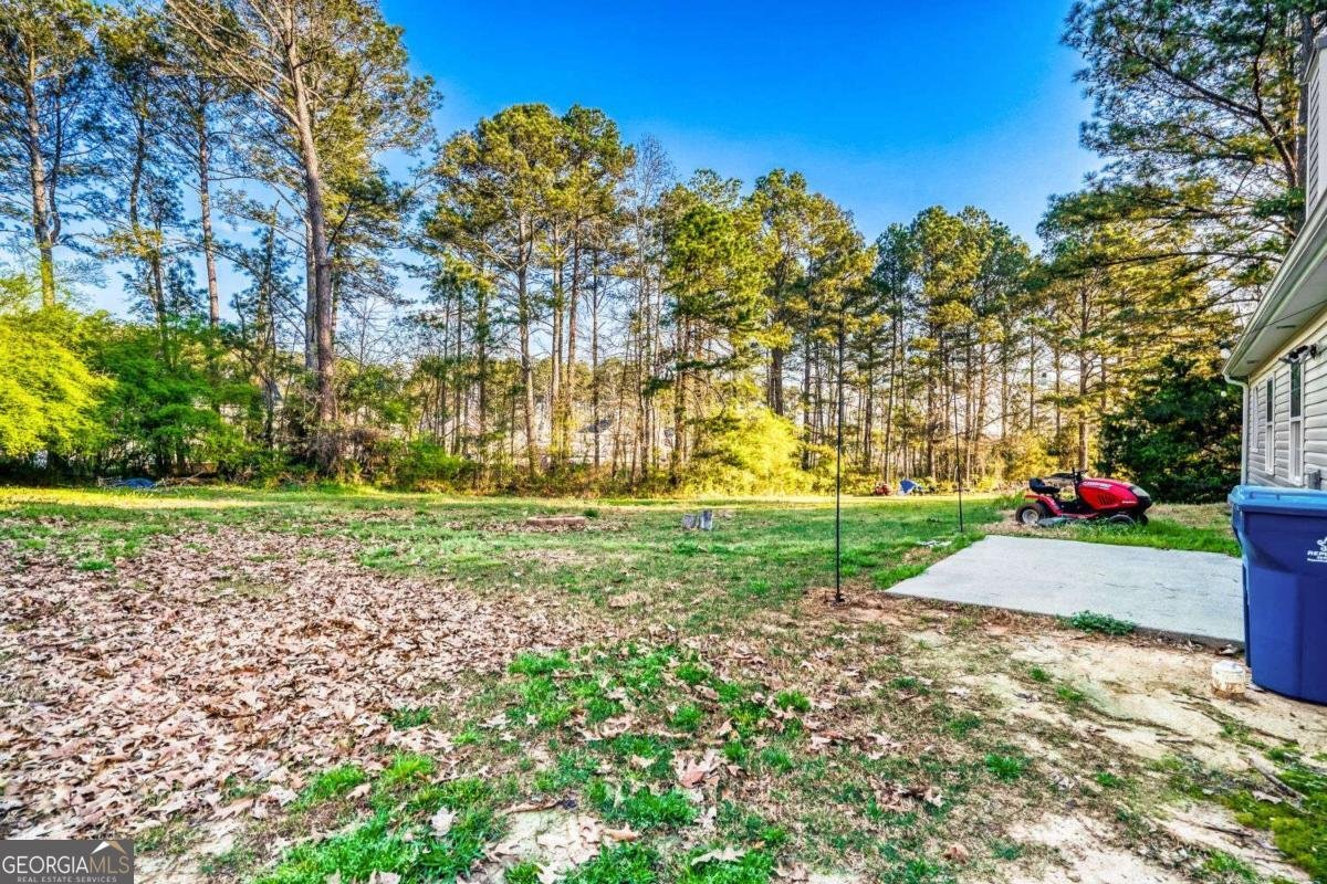 1298 Sierra Ridge Place Loganville - Photo 27