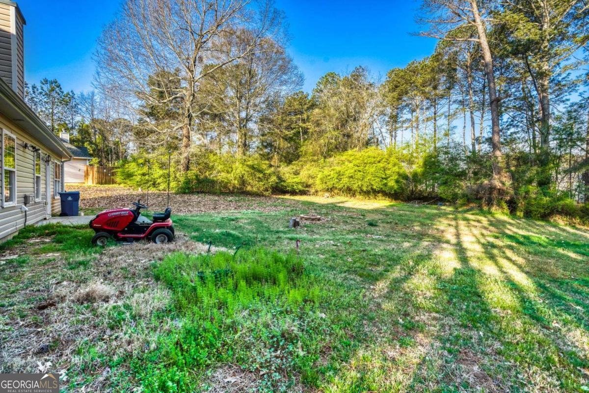 1298 Sierra Ridge Place Loganville - Photo 28