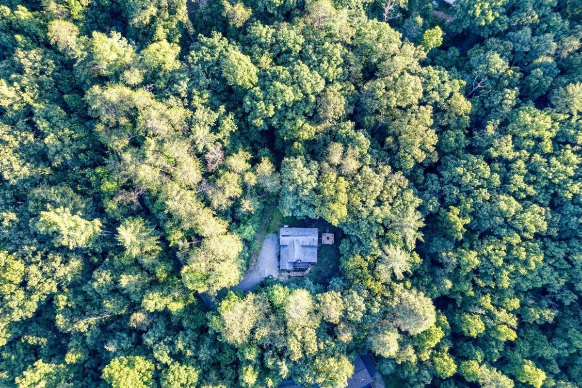 307 Bent Wood Lane Blue Ridge - Photo 55