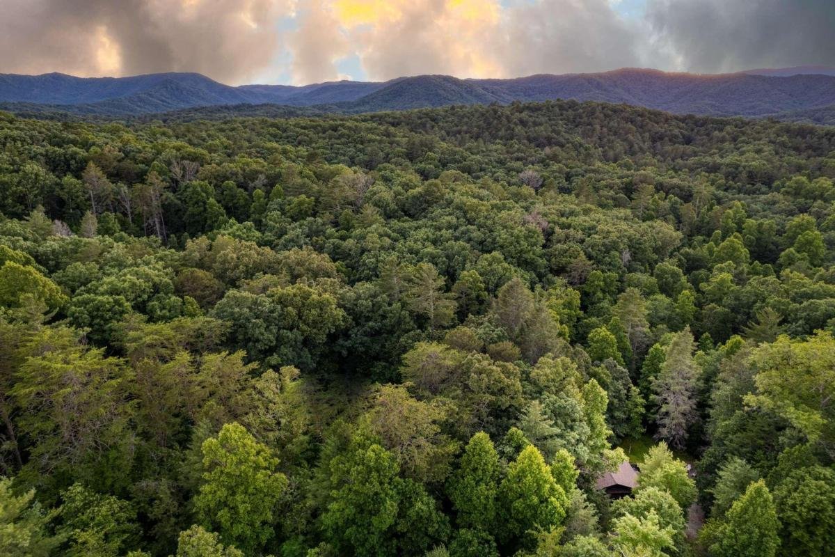 307 Bent Wood Lane Blue Ridge - Photo 6