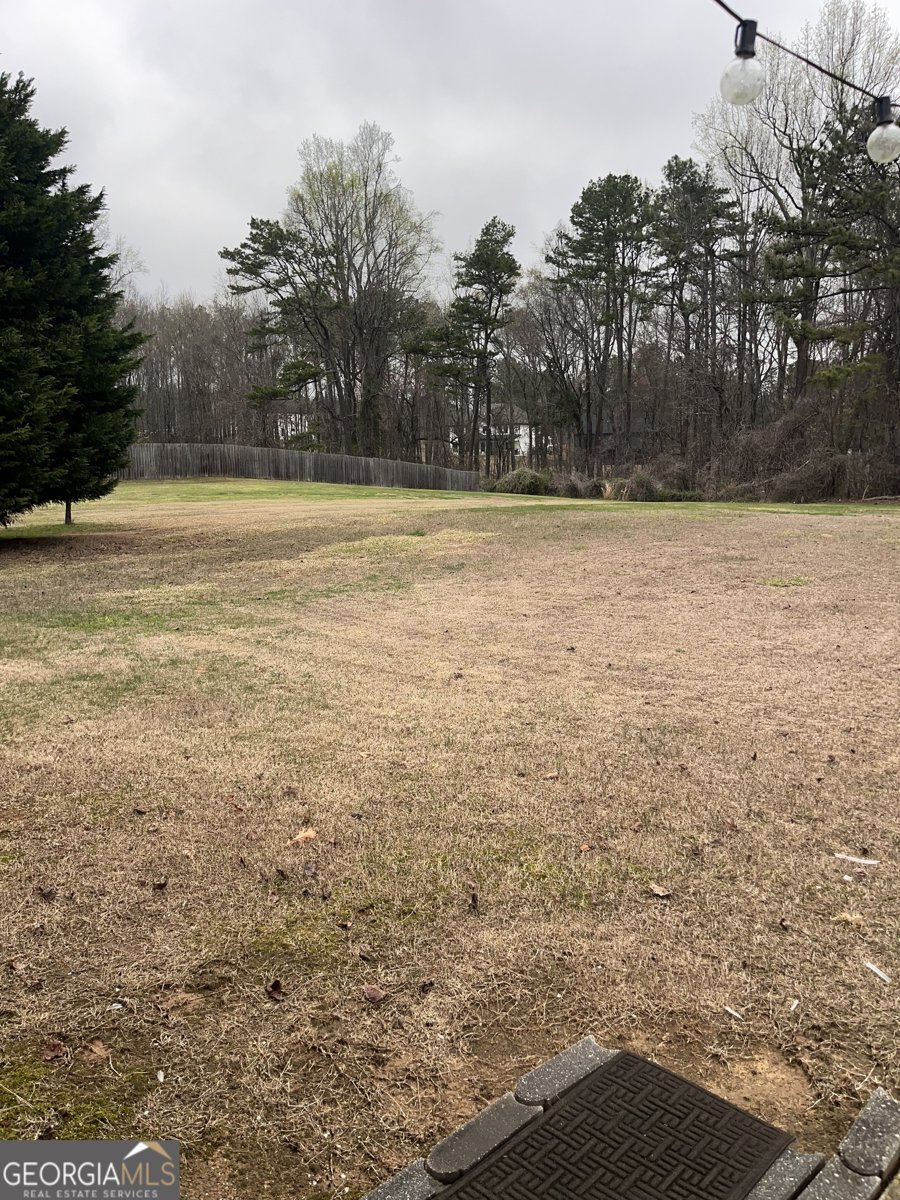 1003 Rolling Ridge Lane Auburn - Photo 38