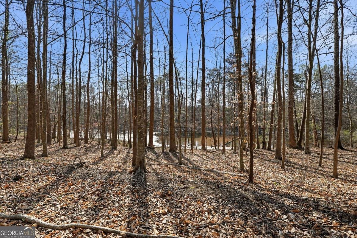 800 Barberry Drive Milton - Photo 58