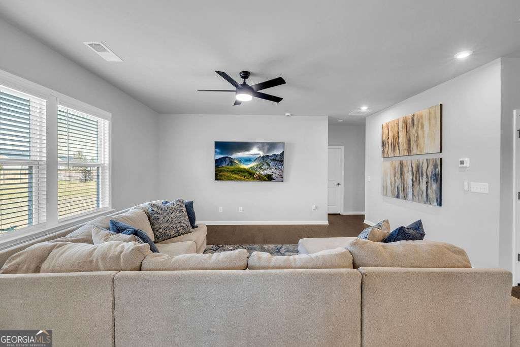 221 Begonia Way Mcdonough - Photo 11