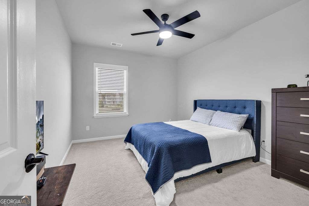 221 Begonia Way Mcdonough - Photo 14