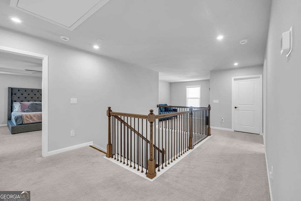 221 Begonia Way Mcdonough - Photo 17