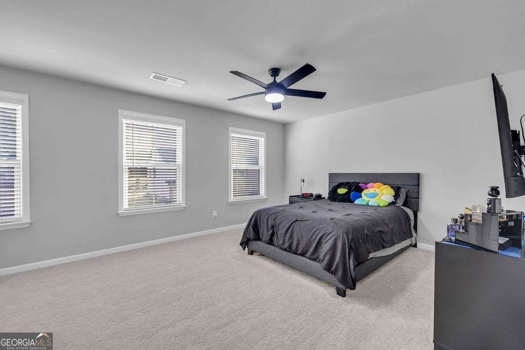 221 Begonia Way Mcdonough - Photo 18