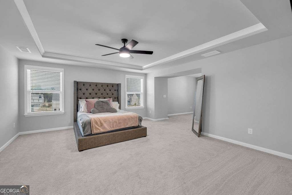 221 Begonia Way Mcdonough - Photo 20