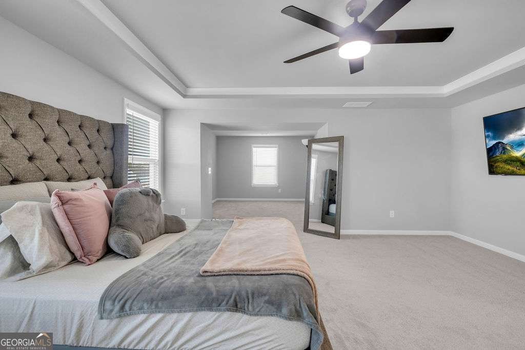 221 Begonia Way Mcdonough - Photo 21