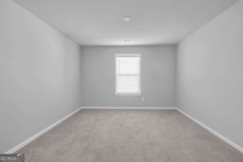 221 Begonia Way Mcdonough - Photo 22