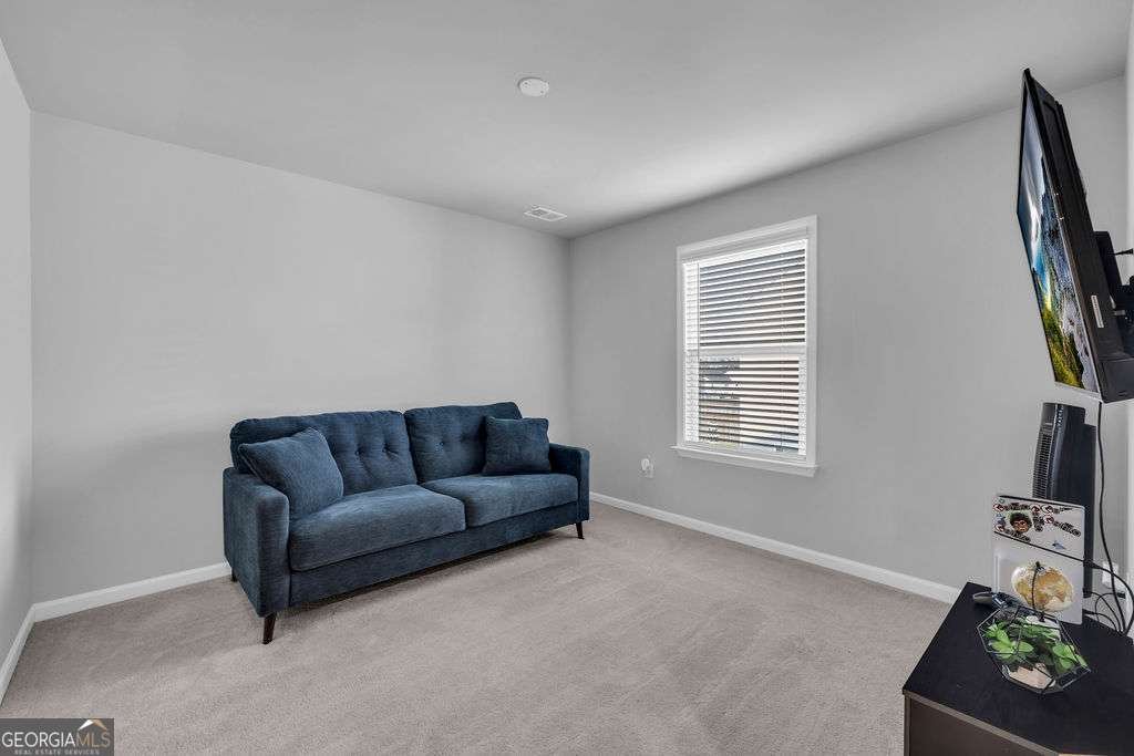 221 Begonia Way Mcdonough - Photo 29