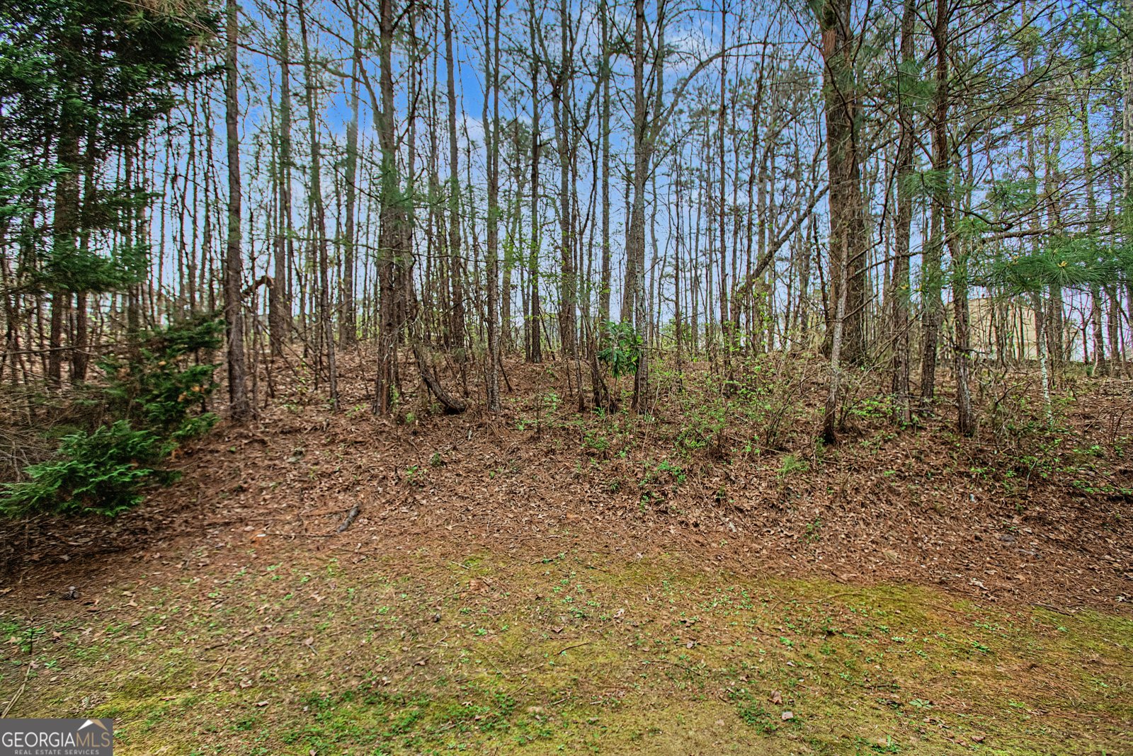 1125 Buckingham Fairburn - Photo 34